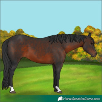 Horse Color:Brown 