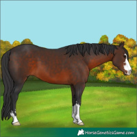 Horse Color:Brown 