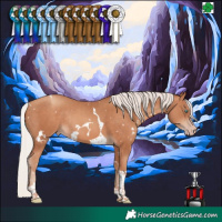 Horse Color:White Spotted Silver Sable Champagne Tobiano Rabicano