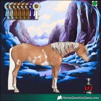 Horse Color:White Spotted Silver Sable Champagne Tobiano Rabicano