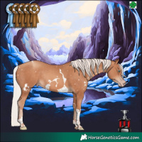 Horse Color:White Spotted Silver Sable Champagne Tobiano Rabicano 