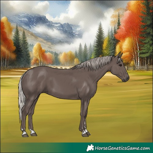 Horse Color:Silver Black