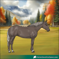 Horse Color:Silver Black 