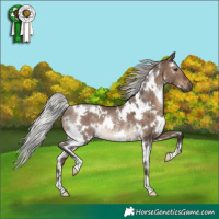Horse Color:White Spotted Silver Brown Dun Rabicano 