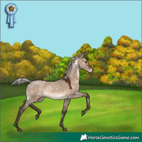 Horse Color:White Spotted Silver Brown Dun