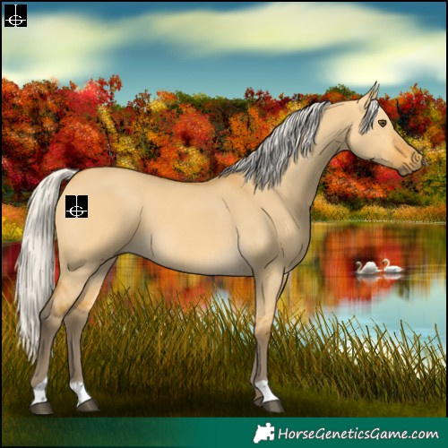 Horse Color:Silver Buckskin Dun 