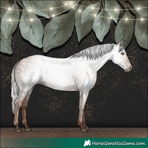 Horse Color:Gray Silver Black Pearl 