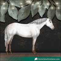 Horse Color:Gray Silver Black Pearl
