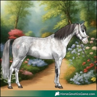 Horse Color:Blue Roan Sabino Splash  and Classic Champagne Roan Sabino Splash 