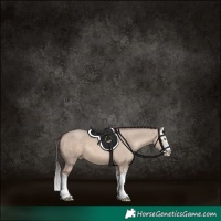 Horse Color:Sable Champagne Dun Sabino Splash 