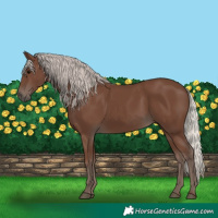 Horse Color:Silver Black