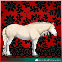 Horse Color:Palomino Roan Splash 