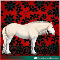 Horse Color:Palomino Roan Splash