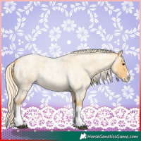Horse Color:Palomino Roan Splash 