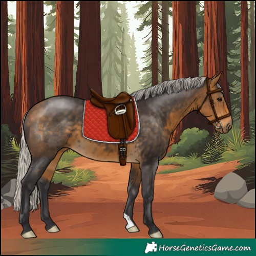 Horse Color:Silver Buckskin 