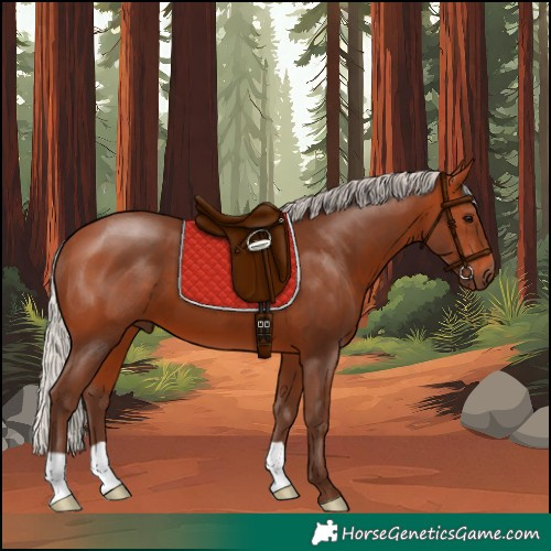 Horse Color:Silver Bay 