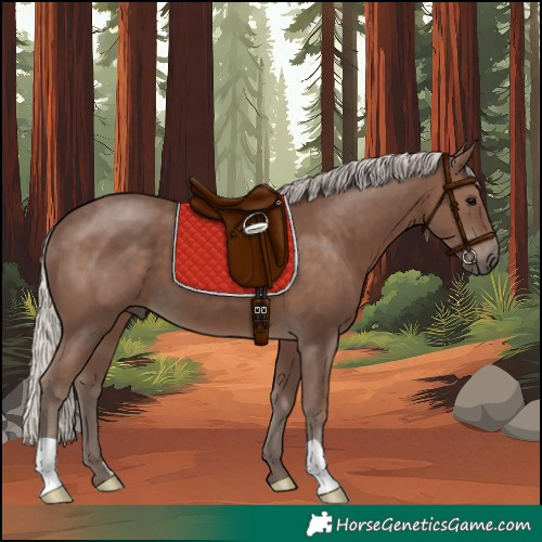 Horse Color:Silver Black 