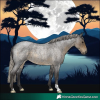 Horse Color:Silver Smoky Blue Roan