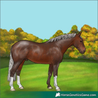 Horse Color:Silver Brown 