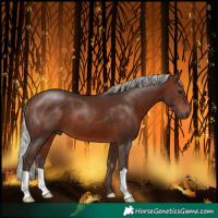 Horse Color:Silver Brown