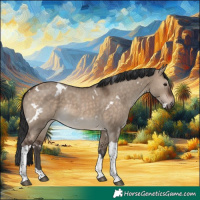 Horse Color:White Spotted Brown Dun Tobiano Rabicano