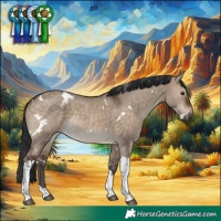 Horse Color:White Spotted Brown Dun Tobiano Rabicano