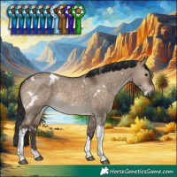 Horse Color:White Spotted Brown Dun Tobiano Rabicano