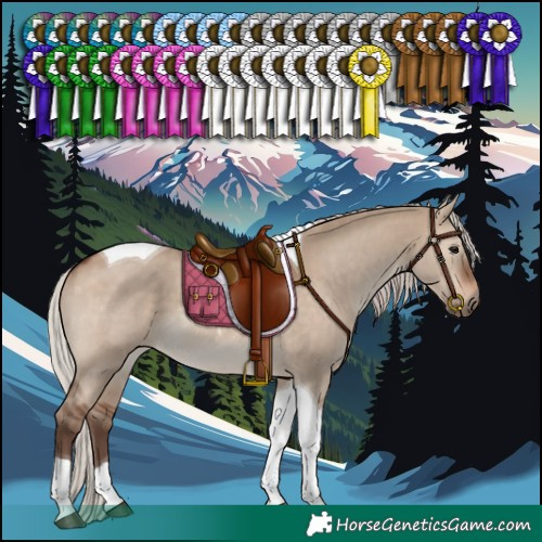 Horse Color:Silver Brown Dun Tobiano 