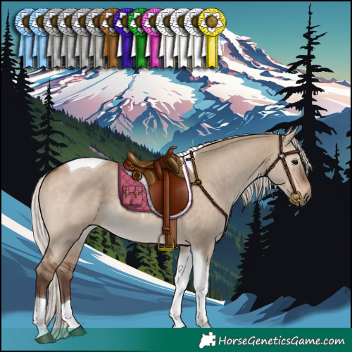 Horse Color:Silver Brown Dun Tobiano 