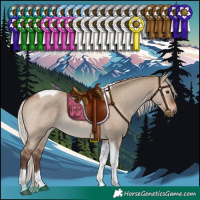 Horse Color:Silver Brown Dun Tobiano 