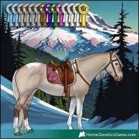 Horse Color:Silver Brown Dun Tobiano 