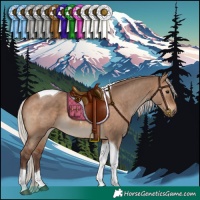 Horse Color:Silver Brown Dun Tobiano