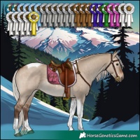 Horse Color:Silver Brown Dun Tobiano