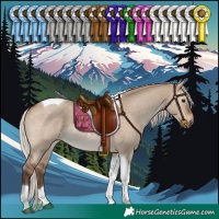 Horse Color:Silver Brown Dun Tobiano 