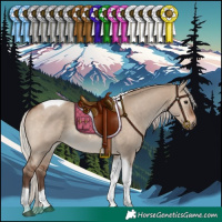 Horse Color:Silver Brown Dun Tobiano 