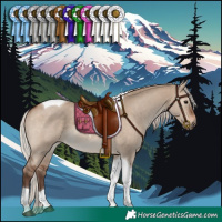 Horse Color:Silver Brown Dun Tobiano 