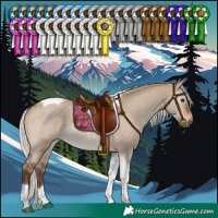 Horse Color:Silver Brown Dun Tobiano