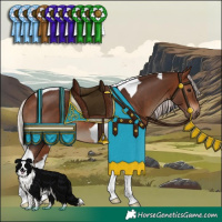 Horse Color:Silver Brown Tobiano 