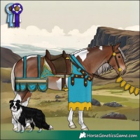 Horse Color:Silver Brown Tobiano 