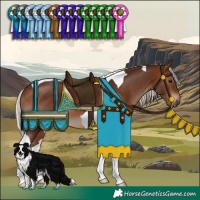 Horse Color:Silver Brown Tobiano