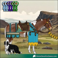 Horse Color:Silver Brown Tobiano 