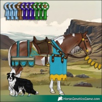 Horse Color:Silver Brown Tobiano 