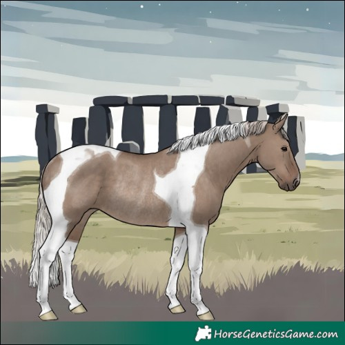 Horse Color:Silver Grullo Tobiano Rabicano 