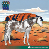 Horse Color:White Spotted Brown Splash Rabicano 