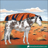 Horse Color:White Spotted Brown Splash Rabicano 