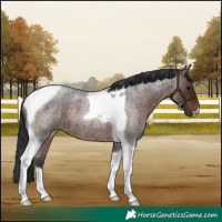 Horse Color:Brown Roan Tobiano 