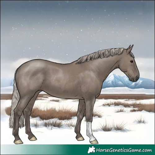 Horse Color:Silver Grullo