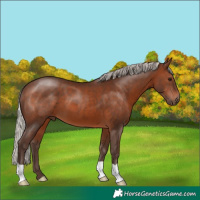 Horse Color:Silver Brown 