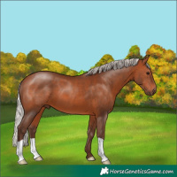 Horse Color:Silver Brown
