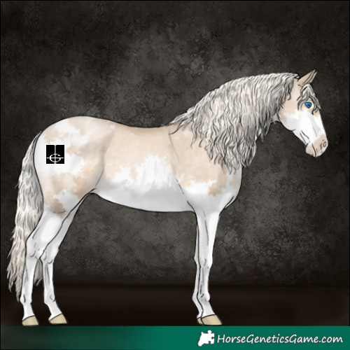Horse Color:Chocolate Palomino Pearl Splash Varnish 